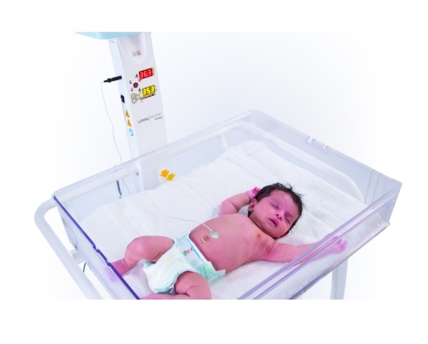 Mall Bench - Steel and Wood - Bolt Down - 45x180x51cm - Colour Options - ML4642PC - Image 2