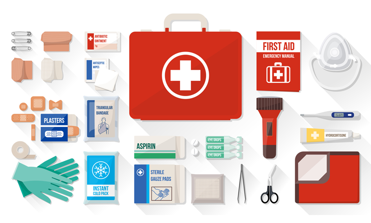 pet first aid kit