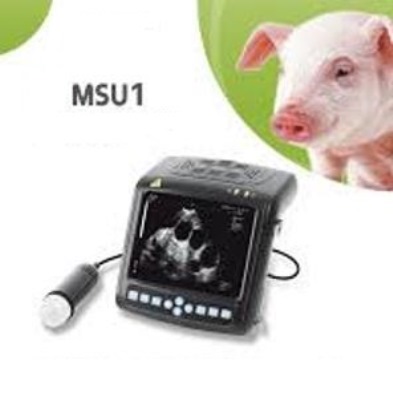 Paraquat ready to use - Image 2