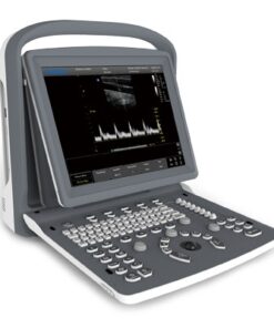 Ultrasound Black/white high end portable monitor