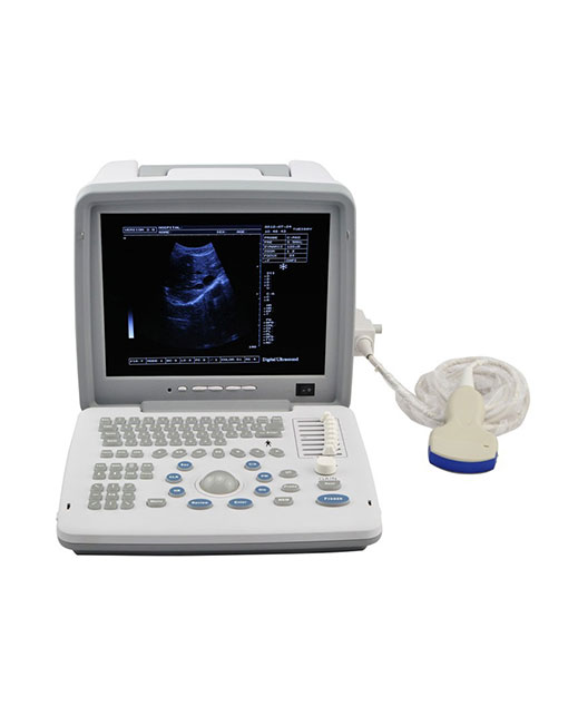 Portable LED screen ultrasound