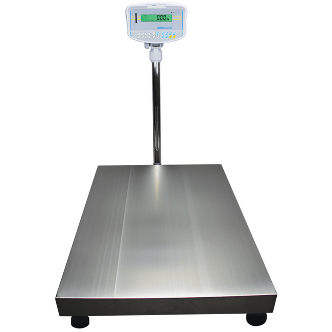 Scale - GFK-M Floor Check Weighing (NRCS) - GFK 60M - Capacity 60Kg - GFK 60M