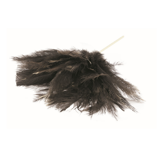 Feather Duster - Genuine Ostrich Chick Feathers - Large Head - 45cm - Pack of 5 - F9011