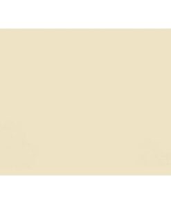 Lateral Document Files - Foolscap - Medium Weight - 190gsm - Pack of 200 - FILLMW200