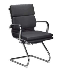 Padded Eames Visitor Chair