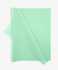 Cool Mint Wrapping Tissue (24 Sheet Pack)