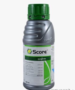 Fungicide Amistar Top