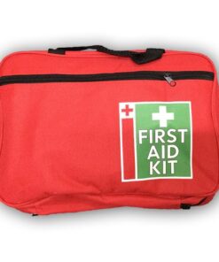 First Aid Kit ��� Essential (Blue or Red, with Handles)