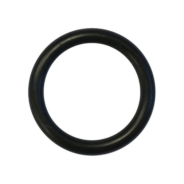 Oxygen Reg Bullnose ��� O-ring