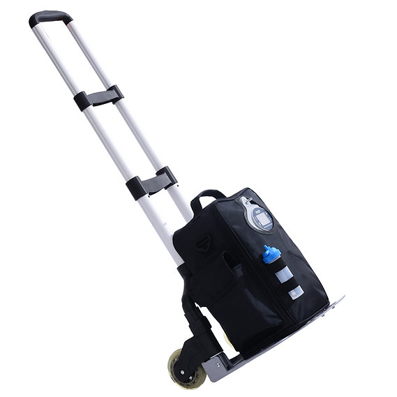 Portable Oxygen Concentrator ��� LoveGo LG102P - Image 3