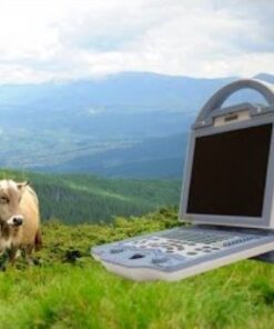 KX5600V Vet Ultrasound Machine