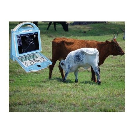 KX5600V Vet Ultrasound Machine - Image 3