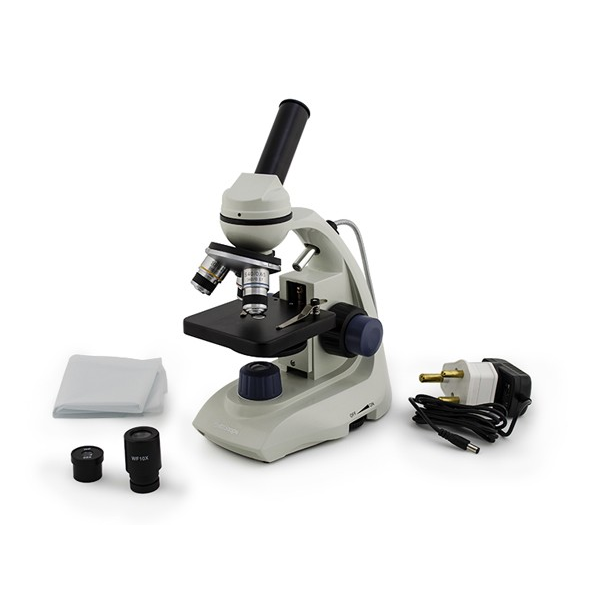 Microscope